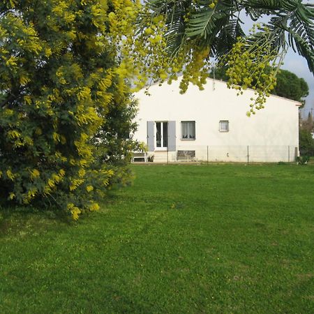 Lumineux Agreable T2 De 32M2 Apartment La Londe-les-Maures Exterior photo